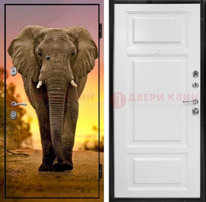 Металлическая дверь с фотопечатью слона ДФ-30 в Шатуре