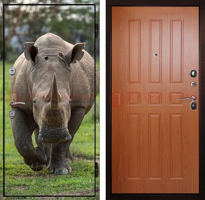 Металлическая дверь с фотопечатью носорога ДФ-31 в Шатуре