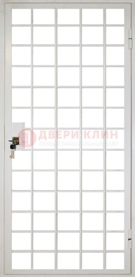 Белая металлическая решетчатая дверь ДР-2 в Шатуре